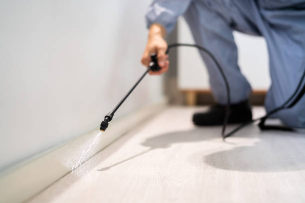 Licensed Termite Control service in Sherman County County, KS - Nex Pest Control