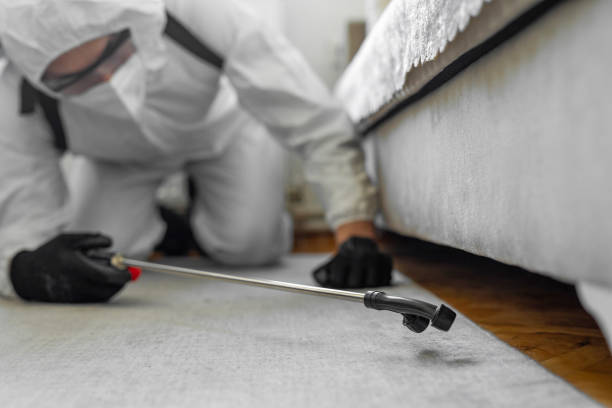 Professional Termite Control technician working in Sherman County County, KS